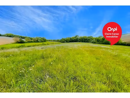 vente terrain 52730 m² à fiac (81500)  42 000 €