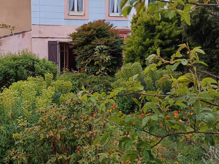 maison de village 150 m2 2 faces  garage et jardin nebias