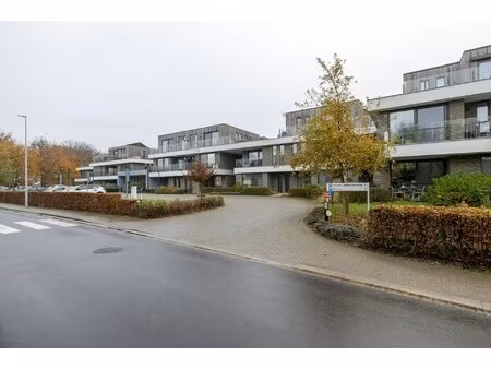 appartement te koop in berlare met 1 slaapkamer