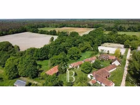 propriété gy-en-sologne (41)