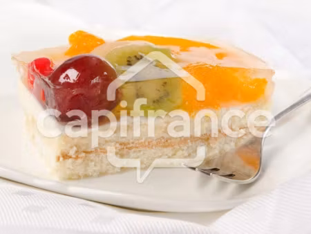 vente locaux professionnels 300 m² à aire-sur-la-lys (62120)  347 200 €