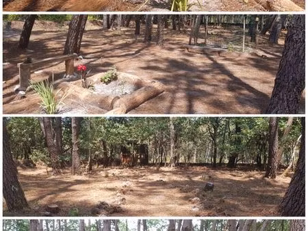 terrain proche océan