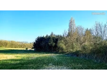 ● charmant terrain boisé à ne pas manquer à montamisé - idéalement situé