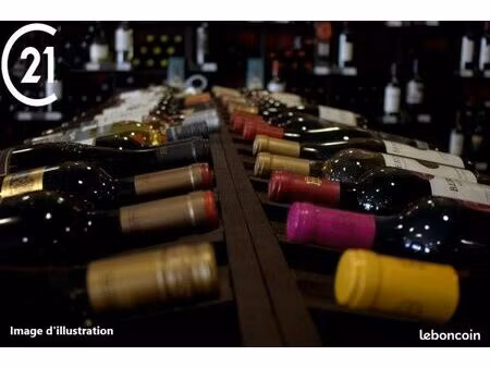 cave à vins 200 m²