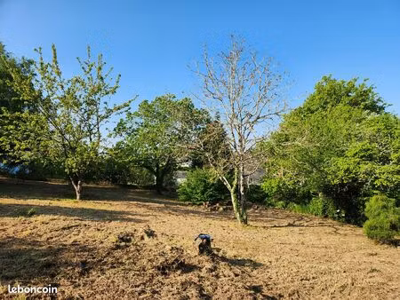 beau terrain arboré