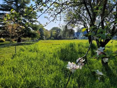 vente terrain à pontivy (56300) : à vendre / pontivy