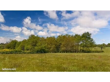 terrain 1 446 m² yvre l eveque