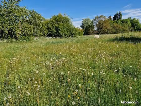 terrain 618 m² coutiches