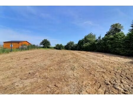 n5 jamagne: terrain à batir de 10a37ca avec ou sans permis