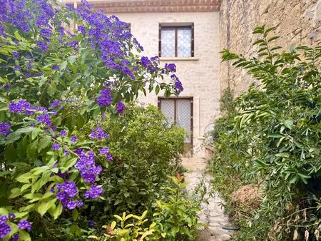 maison de village r+2 5 chambres  jardin  terrasse et local