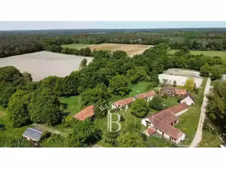 propriété gy-en-sologne - 4 chambres - 172m²