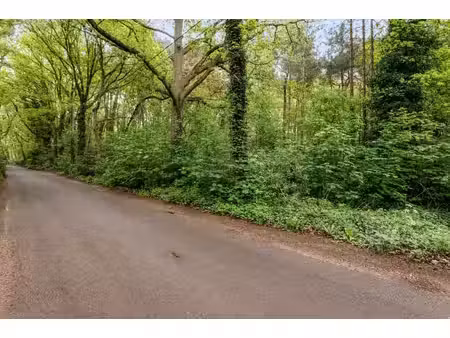 perceel bosgrond van 1.000m²