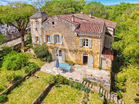 vente maison 10 pièces  260.00m²  blanquefort