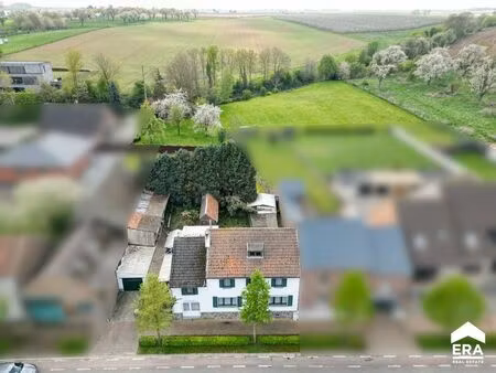 maison à vendre à borlo € 195.000 (l7g3o) - era nobis (sint-truiden) | zimmo