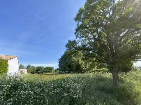 vente terrain à pont-saint-martin (44860) : à vendre / 1240m² pont-saint-martin