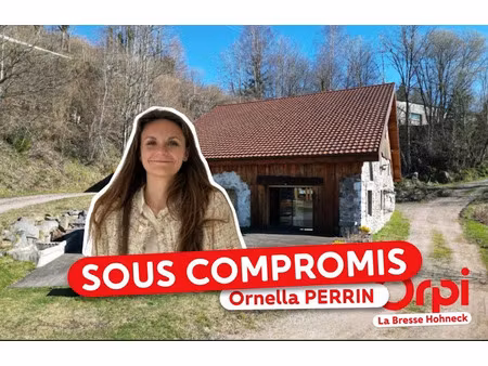 vente ferme 6 pièces 232 m² à la bresse (88250)  685 000 €