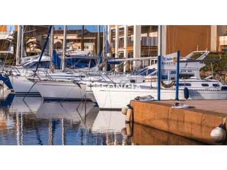 place de port - amarrage en pleine propriete - poste a quai - anneau situe a port cogolin 