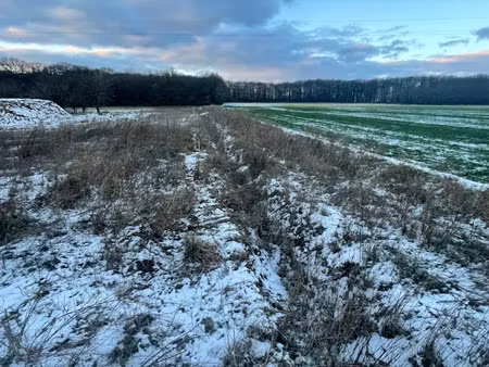 vente terrain 607 m² à metzeresche (57920)  111 900 €