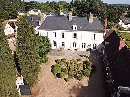 vente maison 12 pièces 323 m² montoire-sur-le-loir (41800)