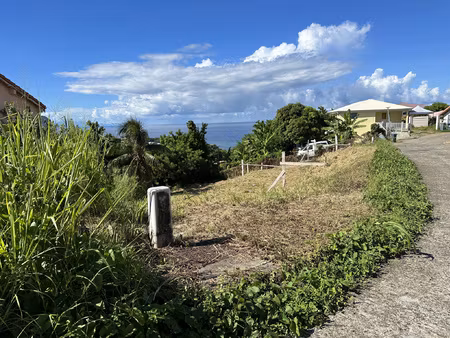 terrain constructible à vendre dans le marigot (97216)