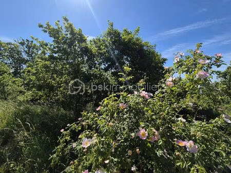 terrain de 26 139 m² à auvillar