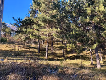 terrain constructible à embrun 2679 m²