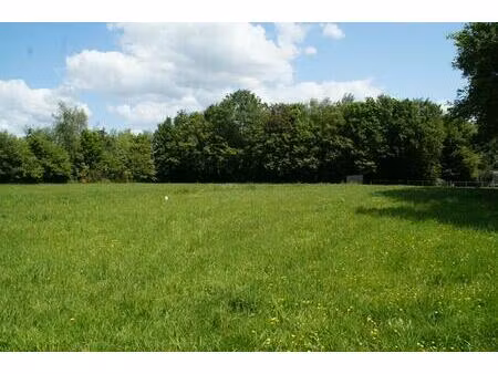 terrain taupont 2380 m2