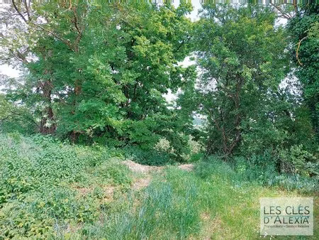 terrain plat a batir viabilise