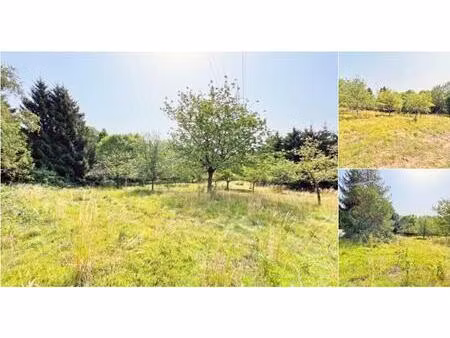 terrain à vendre à rue des coures rochefort (vbc70142)