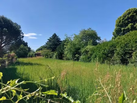 vente terrain 976 m² saint-aignan (41110)