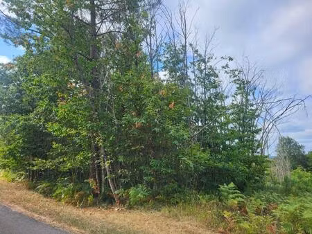 terrain de 12 5 hectares sur hauteur  facile d'accès et belle exposition