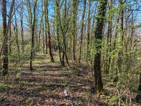 terrain constructible boisé sur 2500m²