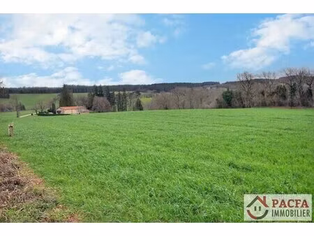 terrain constructible