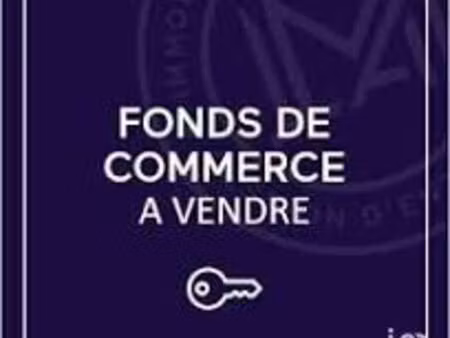 vente commerce 295 m² saint-fargeau-ponthierry (77310)