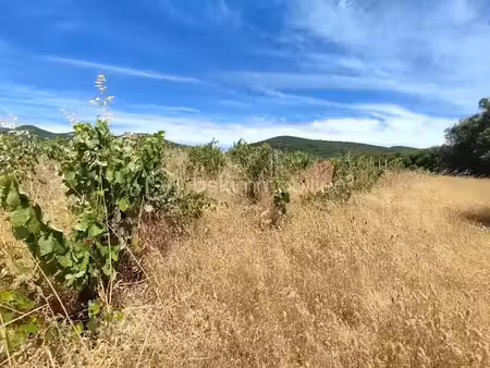 vente terrain 54432 m² à caussiniojouls (34600)  14 900 €