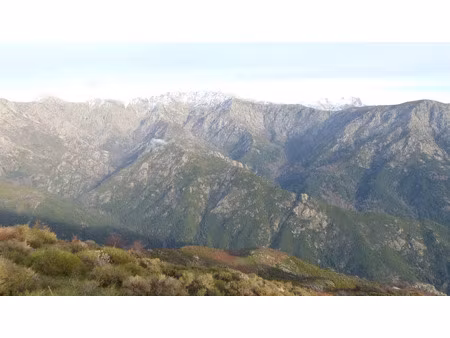 vente terrain 600000 m² à letia (20160)  70 000 €