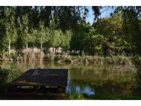 vente maison au grand-lucé (72150) : à vendre / 264m² le grand-lucé