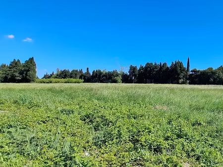 vente terrain 900 m² à l'isle-sur-la-sorgue (84800)  295 000 €