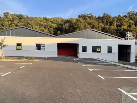 vente locaux professionnels 1 pièce 301 m² à froges (38190)  441 000 €