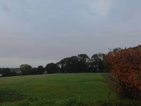 vente terrain à plouay (56240) : à vendre / 256m² plouay