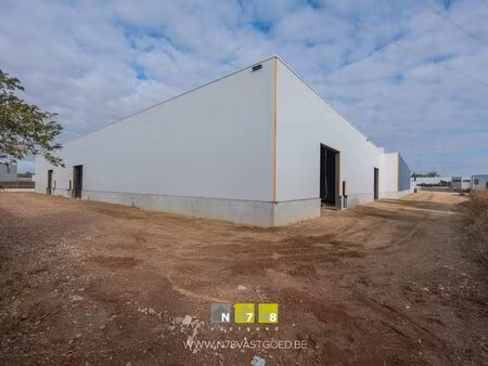 surface industrielle à louer à gremelsloweg 4 maaseik (rbt25337)