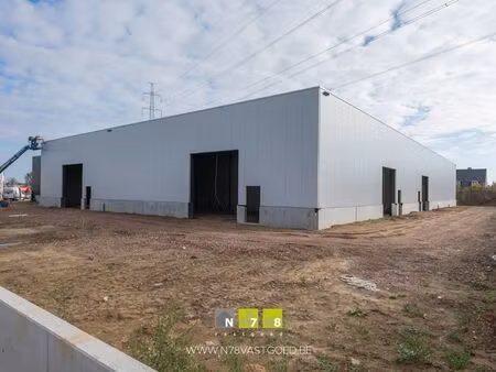 surface industrielle à louer à gremelsloweg 4 maaseik (rbt25342)