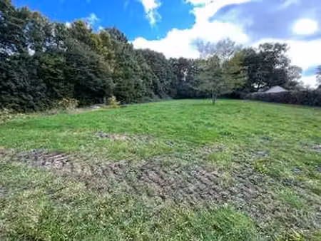 vente terrain à saint-sulpice (49320) : à vendre / 1968m² saint-sulpice