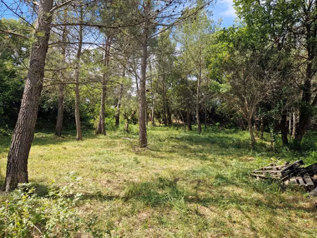 flayosc terrain à batir d'environ 1000m2 avec emprise au sol