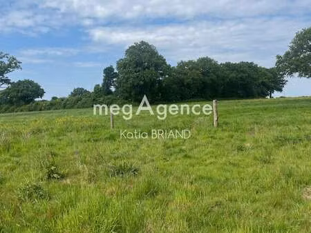 vente terrain à saint-berthevin (53940) : à vendre / 31800m² saint-berthevin