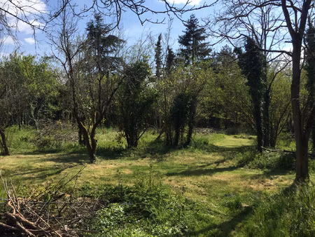 terrain a batir - montamise