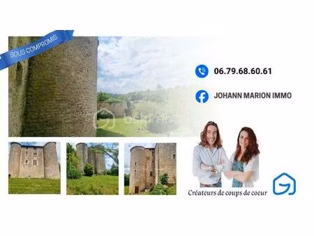 chateau de 500 m² à exoudun