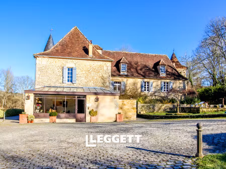 château 28 pièce(s)  saint-marcel-du-périgord