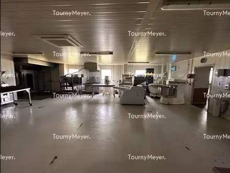 local d'activites a vendre