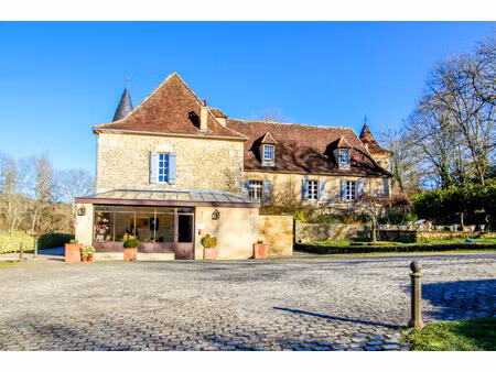 chateau à vendre à saint-marcel-du-périgord (24510) - dordogne